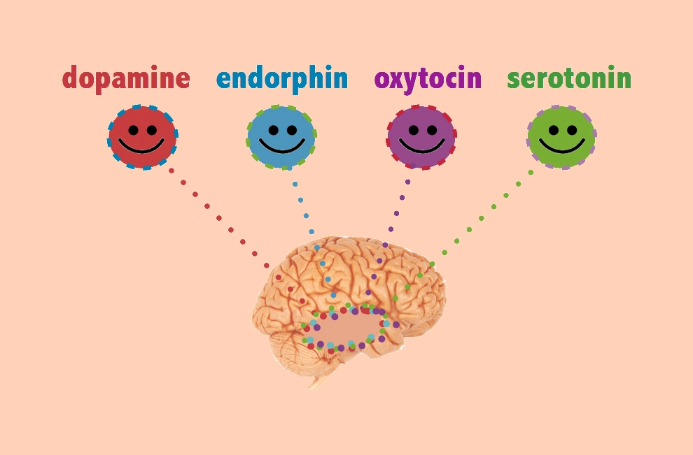 Endorphins are the "feel good" chemicals you get after exercising